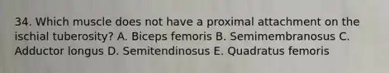 34. Which muscle does not have a proximal attachment on the ischial tuberosity? A. Biceps femoris B. Semimembranosus C. Adductor longus D. Semitendinosus E. Quadratus femoris