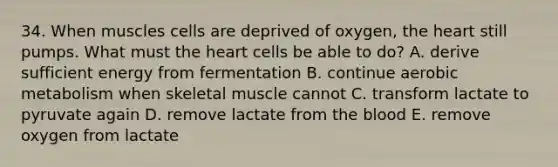 34. When muscles cells are deprived of oxygen, the heart still pumps. What must the heart cells be able to do? A. derive sufficient energy from fermentation B. continue aerobic metabolism when skeletal muscle cannot C. transform lactate to pyruvate again D. remove lactate from the blood E. remove oxygen from lactate