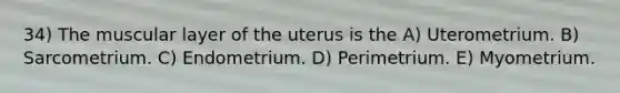 34) The muscular layer of the uterus is the A) Uterometrium. B) Sarcometrium. C) Endometrium. D) Perimetrium. E) Myometrium.