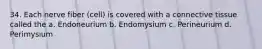 34. Each nerve fiber (cell) is covered with a connective tissue called the a. Endoneurium b. Endomysium c. Perineurium d. Perimysium