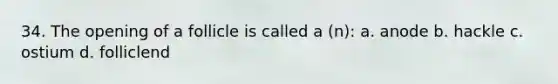 34. The opening of a follicle is called a (n): a. anode b. hackle c. ostium d. folliclend