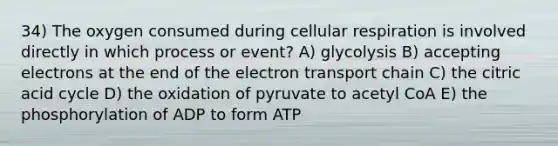 34) The oxygen consumed during cellular respiration is involved directly in which process or event? A) glycolysis B) accepting electrons at the end of the electron transport chain C) the citric acid cycle D) the oxidation of pyruvate to acetyl CoA E) the phosphorylation of ADP to form ATP