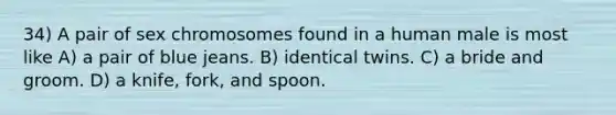 34) A pair of sex chromosomes found in a human male is most like A) a pair of blue jeans. B) identical twins. C) a bride and groom. D) a knife, fork, and spoon.