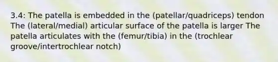 3.4: The patella is embedded in the (patellar/quadriceps) tendon The (lateral/medial) articular surface of the patella is larger The patella articulates with the (femur/tibia) in the (trochlear groove/intertrochlear notch)