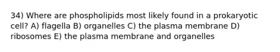 34) Where are phospholipids most likely found in a prokaryotic cell? A) flagella B) organelles C) the plasma membrane D) ribosomes E) the plasma membrane and organelles