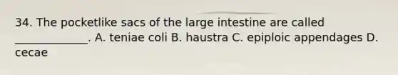 34. The pocketlike sacs of the <a href='https://www.questionai.com/knowledge/kGQjby07OK-large-intestine' class='anchor-knowledge'>large intestine</a> are called _____________. A. teniae coli B. haustra C. epiploic appendages D. cecae