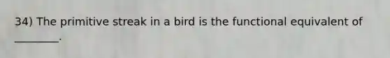 34) The primitive streak in a bird is the functional equivalent of ________.