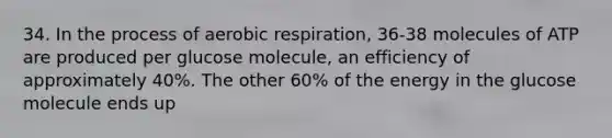 34. In the process of aerobic respiration, 36-38 molecules of ATP are produced per glucose molecule, an efficiency of approximately 40%. The other 60% of the energy in the glucose molecule ends up