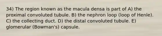 34) The region known as the macula densa is part of A) the proximal convoluted tubule. B) the nephron loop (loop of Henle). C) the collecting duct. D) the distal convoluted tubule. E) glomerular (Bowman's) capsule.