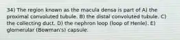 34) The region known as the macula densa is part of A) the proximal convoluted tubule. B) the distal convoluted tubule. C) the collecting duct. D) the nephron loop (loop of Henle). E) glomerular (Bowman's) capsule.