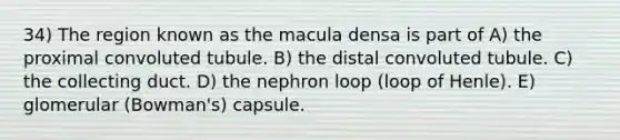 34) The region known as the macula densa is part of A) the proximal convoluted tubule. B) the distal convoluted tubule. C) the collecting duct. D) the nephron loop (loop of Henle). E) glomerular (Bowman's) capsule.