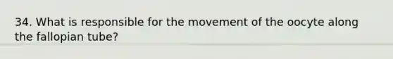 34. What is responsible for the movement of the oocyte along the fallopian tube?