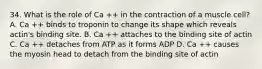 34. What is the role of Ca ++ in the contraction of a muscle cell? A. Ca ++ binds to troponin to change its shape which reveals actin's binding site. B. Ca ++ attaches to the binding site of actin C. Ca ++ detaches from ATP as it forms ADP D. Ca ++ causes the myosin head to detach from the binding site of actin