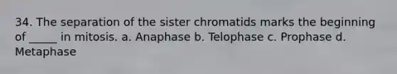 34. The separation of the sister chromatids marks the beginning of _____ in mitosis. a. Anaphase b. Telophase c. Prophase d. Metaphase