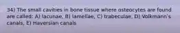 34) The small cavities in bone tissue where osteocytes are found are called: A) lacunae, B) lamellae, C) trabeculae, D) Volkmannʹs canals, E) Haversian canals