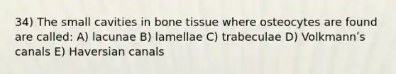 34) The small cavities in bone tissue where osteocytes are found are called: A) lacunae B) lamellae C) trabeculae D) Volkmannʹs canals E) Haversian canals