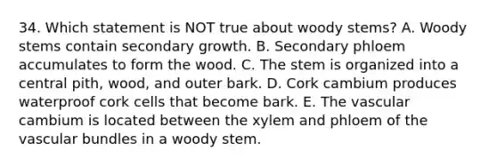 34. Which statement is NOT true about woody stems? A. Woody stems contain secondary growth. B. Secondary phloem accumulates to form the wood. C. The stem is organized into a central pith, wood, and outer bark. D. Cork cambium produces waterproof cork cells that become bark. E. The vascular cambium is located between the xylem and phloem of the vascular bundles in a woody stem.