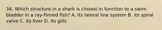 34. Which structure in a shark is closest in function to a swim bladder in a ray-finned fish? A. its lateral line system B. its spiral valve C. its liver D. its gills