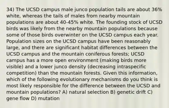 34) The UCSD campus male junco population tails are about 36% white, whereas the tails of males from nearby mountain populations are about 40-45% white. The founding stock of UCSD birds was likely from the nearby mountain populations because some of those birds overwinter on the UCSD campus each year. Population sizes on the UCSD campus have been reasonably large, and there are significant habitat differences between the UCSD campus and the mountain coniferous forests; UCSD campus has a more open environment (making birds more visible) and a lower junco density (decreasing intraspecific competition) than the mountain forests. Given this information, which of the following evolutionary mechanisms do you think is most likely responsible for the difference between the UCSD and mountain populations? A) natural selection B) genetic drift C) gene flow D) mutation