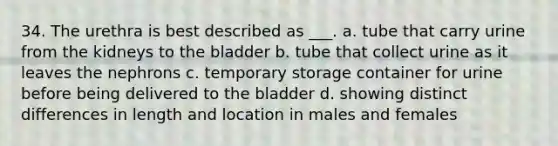 34. The urethra is best described as ___. a. tube that carry urine from the kidneys to the bladder b. tube that collect urine as it leaves the nephrons c. temporary storage container for urine before being delivered to the bladder d. showing distinct differences in length and location in males and females