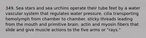 349. Sea stars and sea urchins operate their tube feet by a water vascular system that regulates water pressure. cilia transporting hemolymph from chamber to chamber. sticky threads leading from the mouth and primitive brain. actin and myosin fibers that slide and give muscle actions to the five arms or "rays."