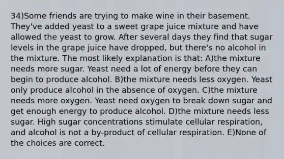 34)Some friends are trying to make wine in their basement. They've added yeast to a sweet grape juice mixture and have allowed the yeast to grow. After several days they find that sugar levels in the grape juice have dropped, but there's no alcohol in the mixture. The most likely explanation is that: A)the mixture needs more sugar. Yeast need a lot of energy before they can begin to produce alcohol. B)the mixture needs less oxygen. Yeast only produce alcohol in the absence of oxygen. C)the mixture needs more oxygen. Yeast need oxygen to break down sugar and get enough energy to produce alcohol. D)the mixture needs less sugar. High sugar concentrations stimulate cellular respiration, and alcohol is not a by-product of cellular respiration. E)None of the choices are correct.