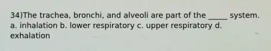 34)The trachea, bronchi, and alveoli are part of the _____ system. a. inhalation b. lower respiratory c. upper respiratory d. exhalation