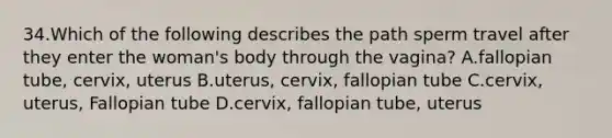 34.Which of the following describes the path sperm travel after they enter the woman's body through the vagina? A.fallopian tube, cervix, uterus B.uterus, cervix, fallopian tube C.cervix, uterus, Fallopian tube D.cervix, fallopian tube, uterus