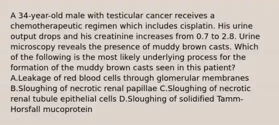 A 34-year-old male with testicular cancer receives a chemotherapeutic regimen which includes cisplatin. His urine output drops and his creatinine increases from 0.7 to 2.8. Urine microscopy reveals the presence of muddy brown casts. Which of the following is the most likely underlying process for the formation of the muddy brown casts seen in this patient? A.Leakage of red blood cells through glomerular membranes B.Sloughing of necrotic renal papillae C.Sloughing of necrotic renal tubule epithelial cells D.Sloughing of solidified Tamm-Horsfall mucoprotein