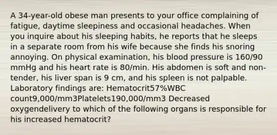 A 34-year-old obese man presents to your office complaining of fatigue, daytime sleepiness and occasional headaches. When you inquire about his sleeping habits, he reports that he sleeps in a separate room from his wife because she finds his snoring annoying. On physical examination, his blood pressure is 160/90 mmHg and his heart rate is 80/min. His abdomen is soft and non-tender, his liver span is 9 cm, and his spleen is not palpable. Laboratory findings are: Hematocrit57%WBC count9,000/mm3Platelets190,000/mm3 Decreased oxygendelivery to which of the following organs is responsible for his increased hematocrit?