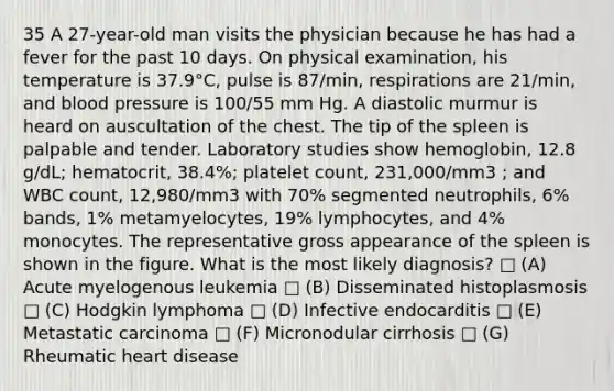 35 A 27-year-old man visits the physician because he has had a fever for the past 10 days. On physical examination, his temperature is 37.9°C, pulse is 87/min, respirations are 21/min, and <a href='https://www.questionai.com/knowledge/kD0HacyPBr-blood-pressure' class='anchor-knowledge'>blood pressure</a> is 100/55 mm Hg. A diastolic murmur is heard on auscultation of the chest. The tip of the spleen is palpable and tender. Laboratory studies show hemoglobin, 12.8 g/dL; hematocrit, 38.4%; platelet count, 231,000/mm3 ; and WBC count, 12,980/mm3 with 70% segmented neutrophils, 6% bands, 1% metamyelocytes, 19% lymphocytes, and 4% monocytes. The representative gross appearance of the spleen is shown in the figure. What is the most likely diagnosis? □ (A) Acute myelogenous leukemia □ (B) Disseminated histoplasmosis □ (C) Hodgkin lymphoma □ (D) Infective endocarditis □ (E) Metastatic carcinoma □ (F) Micronodular cirrhosis □ (G) Rheumatic heart disease