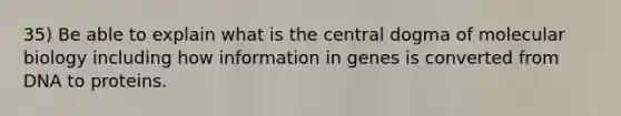 35) Be able to explain what is the central dogma of molecular biology including how information in genes is converted from DNA to proteins.