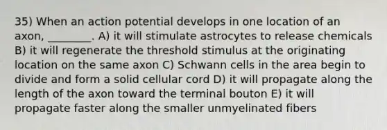 35) When an action potential develops in one location of an axon, ________. A) it will stimulate astrocytes to release chemicals B) it will regenerate the threshold stimulus at the originating location on the same axon C) Schwann cells in the area begin to divide and form a solid cellular cord D) it will propagate along the length of the axon toward the terminal bouton E) it will propagate faster along the smaller unmyelinated fibers