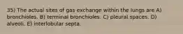 35) The actual sites of gas exchange within the lungs are A) bronchioles. B) terminal bronchioles. C) pleural spaces. D) alveoli. E) interlobular septa.