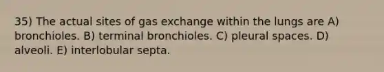 35) The actual sites of <a href='https://www.questionai.com/knowledge/kU8LNOksTA-gas-exchange' class='anchor-knowledge'>gas exchange</a> within the lungs are A) bronchioles. B) terminal bronchioles. C) pleural spaces. D) alveoli. E) interlobular septa.