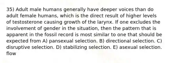 35) Adult male humans generally have deeper voices than do adult female humans, which is the direct result of higher levels of testosterone causing growth of the larynx. If one excludes the involvement of gender in the situation, then the pattern that is apparent in the fossil record is most similar to one that should be expected from A) pansexual selection. B) directional selection. C) disruptive selection. D) stabilizing selection. E) asexual selection. flow