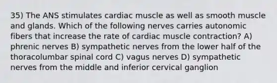 35) The ANS stimulates cardiac muscle as well as smooth muscle and glands. Which of the following nerves carries autonomic fibers that increase the rate of <a href='https://www.questionai.com/knowledge/kIevX4JuTD-cardiac-muscle-contraction' class='anchor-knowledge'>cardiac muscle contraction</a>? A) phrenic nerves B) sympathetic nerves from the lower half of the thoracolumbar spinal cord C) vagus nerves D) sympathetic nerves from the middle and inferior cervical ganglion