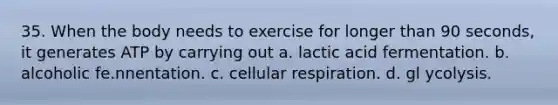 35. When the body needs to exercise for longer than 90 seconds, it generates ATP by carrying out a. lactic acid fermentation. b. alcoholic fe.nnentation. c. cellular respiration. d. gl ycolysis.