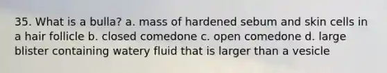 35. What is a bulla? a. mass of hardened sebum and skin cells in a hair follicle b. closed comedone c. open comedone d. large blister containing watery fluid that is larger than a vesicle