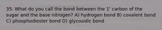 35. What do you call the bond between the 1' carbon of the sugar and the base nitrogen? A) hydrogen bond B) covalent bond C) phosphodiester bond D) glycosidic bond