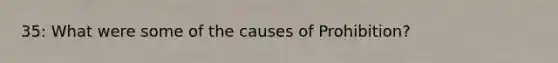 35: What were some of the causes of Prohibition?