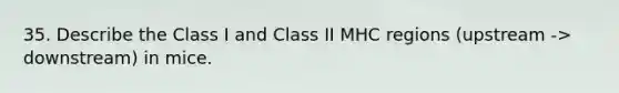 35. Describe the Class I and Class II MHC regions (upstream -> downstream) in mice.