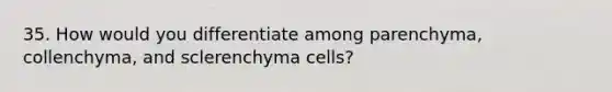 35. How would you differentiate among parenchyma, collenchyma, and sclerenchyma cells?