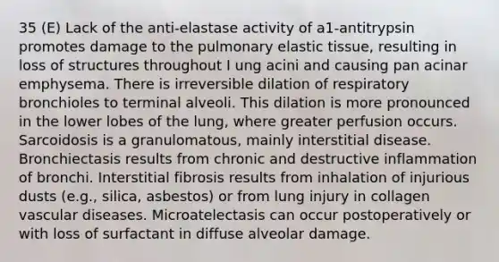 35 (E) Lack of the anti-elastase activity of a1-antitrypsin promotes damage to the pulmonary elastic tissue, resulting in loss of structures throughout I ung acini and causing pan acinar emphysema. There is irreversible dilation of respiratory bronchioles to terminal alveoli. This dilation is more pronounced in the lower lobes of the lung, where greater perfusion occurs. Sarcoidosis is a granulomatous, mainly interstitial disease. Bronchiectasis results from chronic and destructive inflammation of bronchi. Interstitial fibrosis results from inhalation of injurious dusts (e.g., silica, asbestos) or from lung injury in collagen vascular diseases. Microatelectasis can occur postoperatively or with loss of surfactant in diffuse alveolar damage.