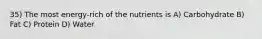 35) The most energy-rich of the nutrients is A) Carbohydrate B) Fat C) Protein D) Water