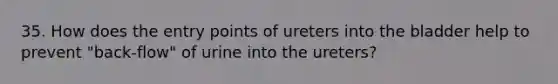 35. How does the entry points of ureters into the bladder help to prevent "back-flow" of urine into the ureters?