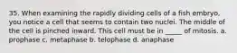 35. When examining the rapidly dividing cells of a fish embryo, you notice a cell that seems to contain two nuclei. The middle of the cell is pinched inward. This cell must be in _____ of mitosis. a. prophase c. metaphase b. telophase d. anaphase