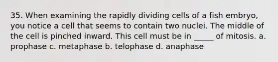 35. When examining the rapidly dividing cells of a fish embryo, you notice a cell that seems to contain two nuclei. The middle of the cell is pinched inward. This cell must be in _____ of mitosis. a. prophase c. metaphase b. telophase d. anaphase