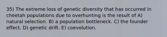 35) The extreme loss of genetic diversity that has occurred in cheetah populations due to overhunting is the result of A) natural selection. B) a population bottleneck. C) the founder effect. D) genetic drift. E) coevolution.