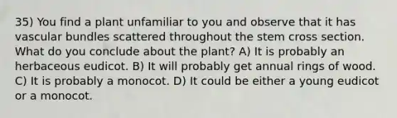 35) You find a plant unfamiliar to you and observe that it has vascular bundles scattered throughout the stem cross section. What do you conclude about the plant? A) It is probably an herbaceous eudicot. B) It will probably get annual rings of wood. C) It is probably a monocot. D) It could be either a young eudicot or a monocot.